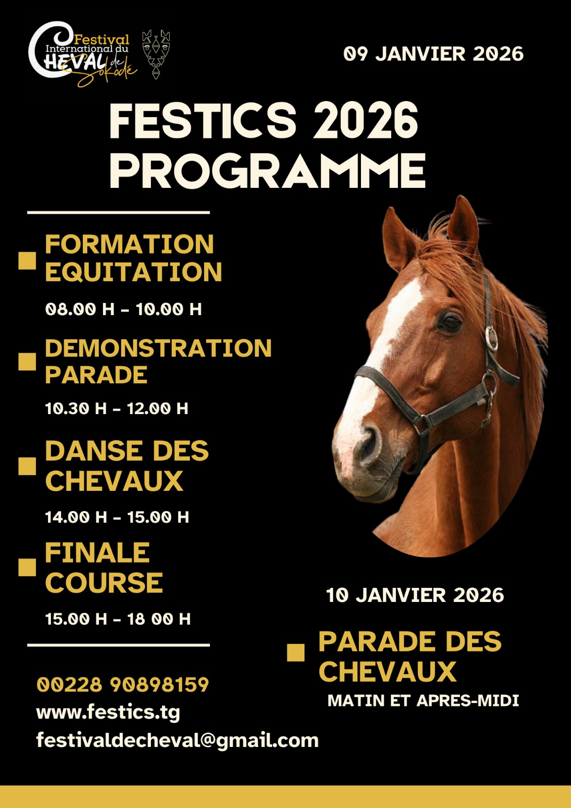 Affiche du Programme FESTICS 2026
